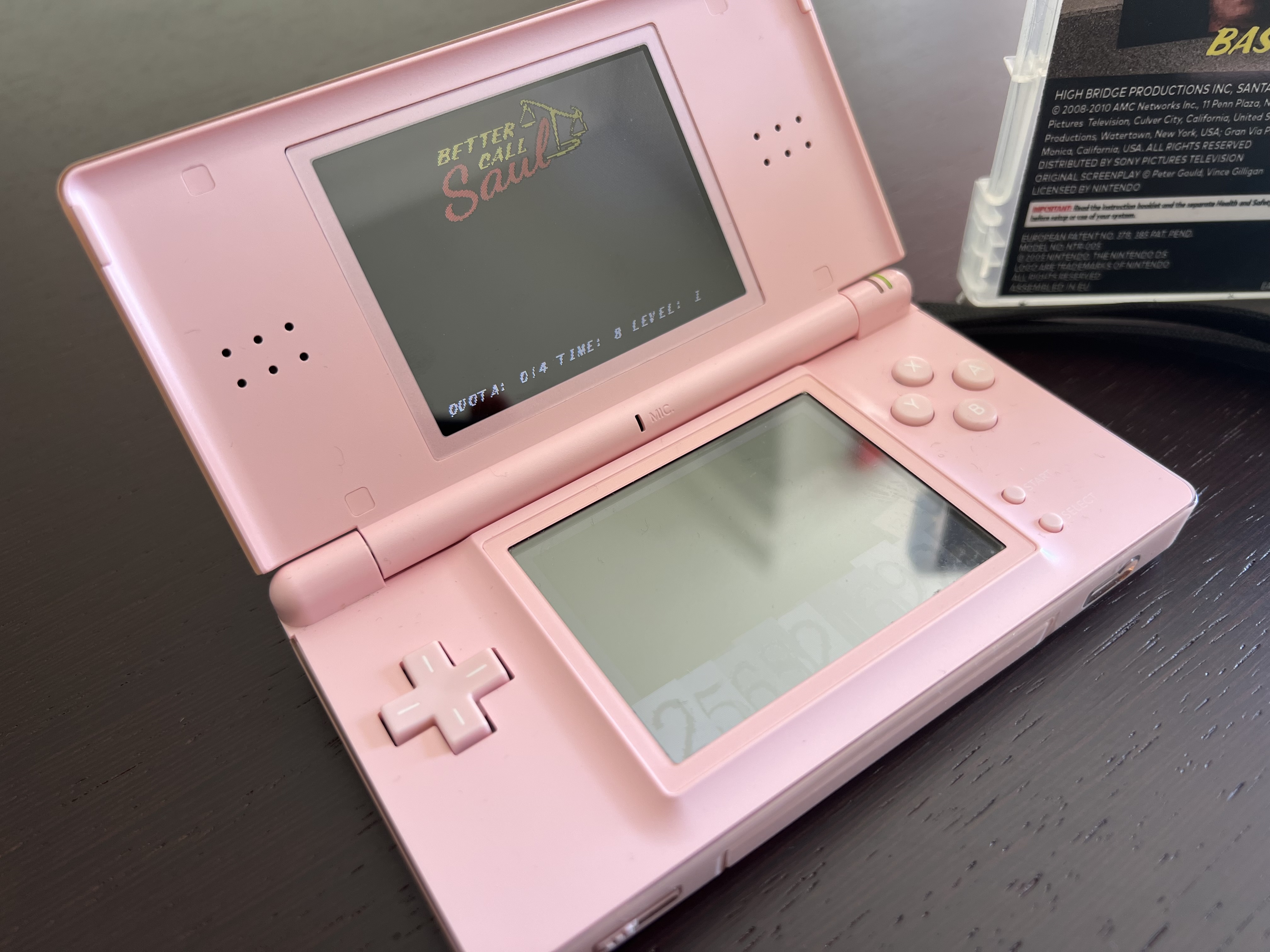 Close-up of gameplay on the DS screen